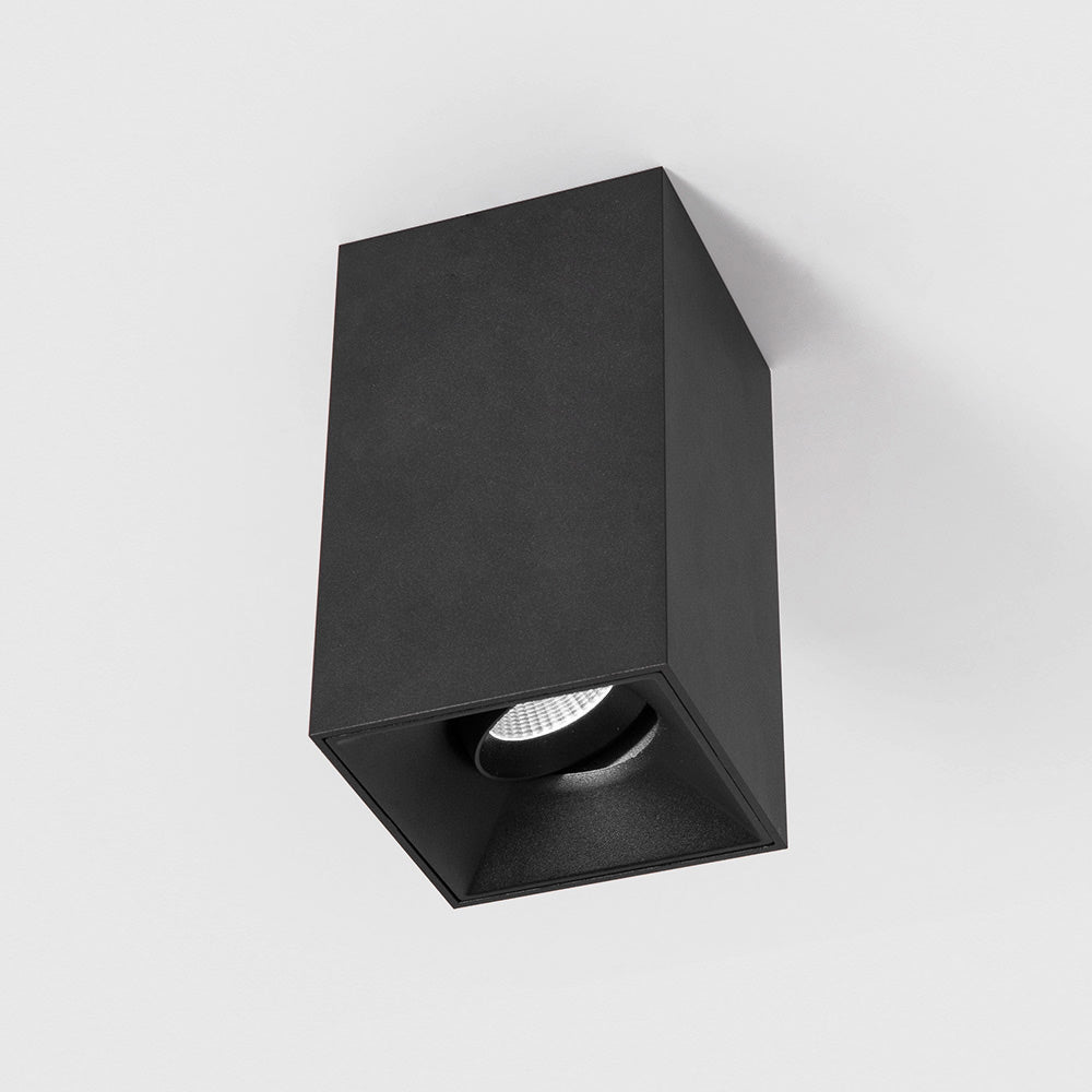Arcelle Adjustable